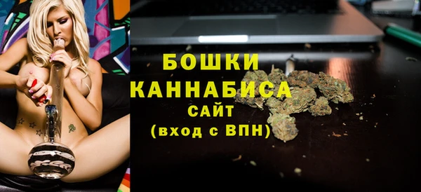 дживик Бородино