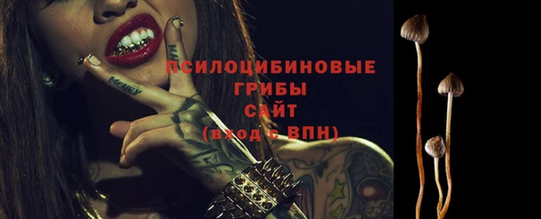дживик Бородино