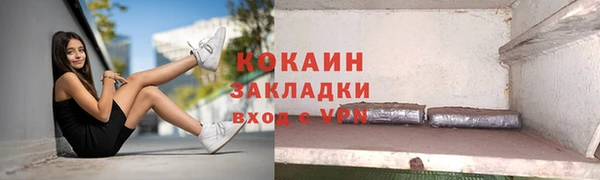 дживик Бородино
