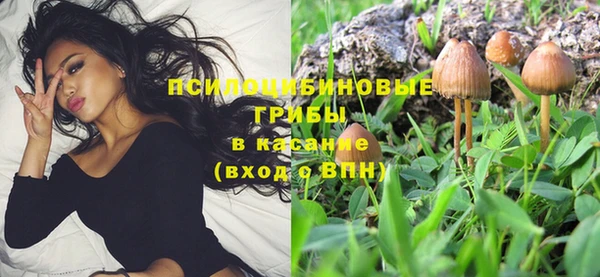 шишки Бугульма