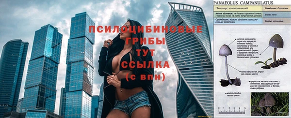амф Россошь