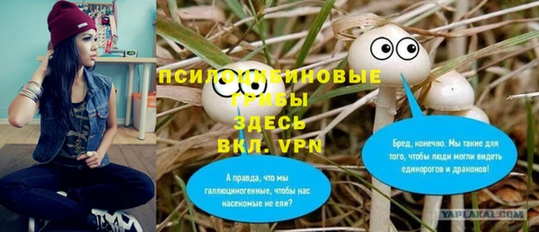дживик Бородино