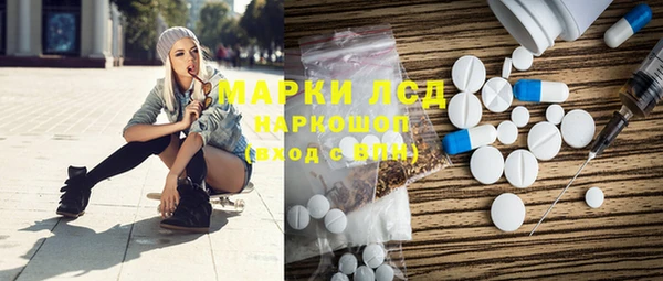 дживик Бородино
